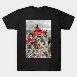 Frost on Rosehips T-Shirt